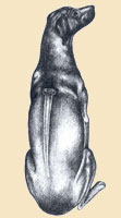 гребень родезийского риджбека