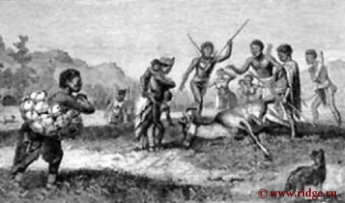 1875 год, рисунок из книги Ливинстона "Путешествие миссионера по Южной Африки"