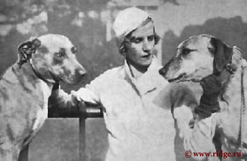 Миссис Джон Плеер с Лобегулой (ливерный нос) и Мапандорой 1933 год